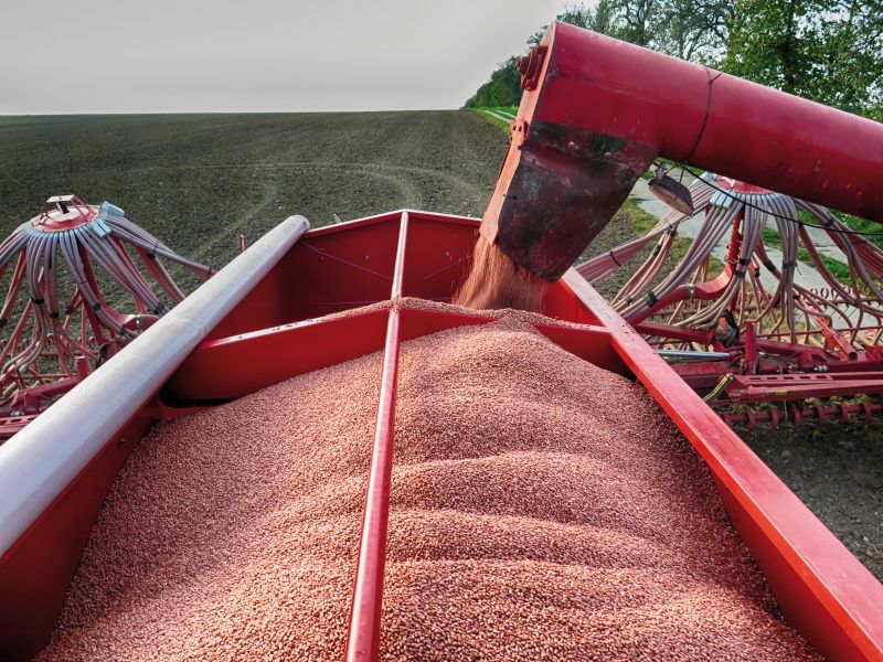 KV-DG-II-0006-jpg-g1ak6ubkch