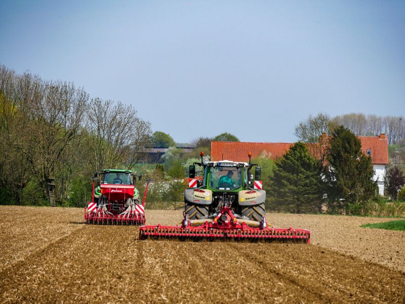 KV-F35-2018-field-0077-jpg-g1alkgjib3