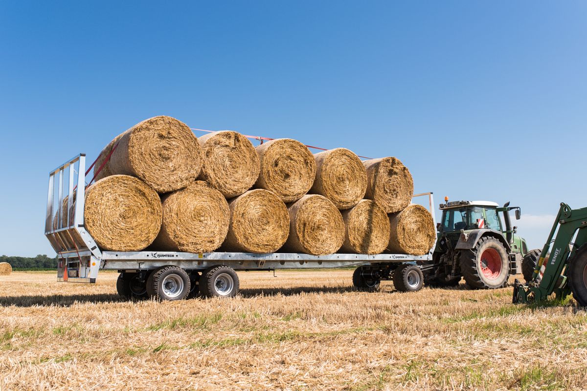 csm_DSC_0952_c77a8ec1b8